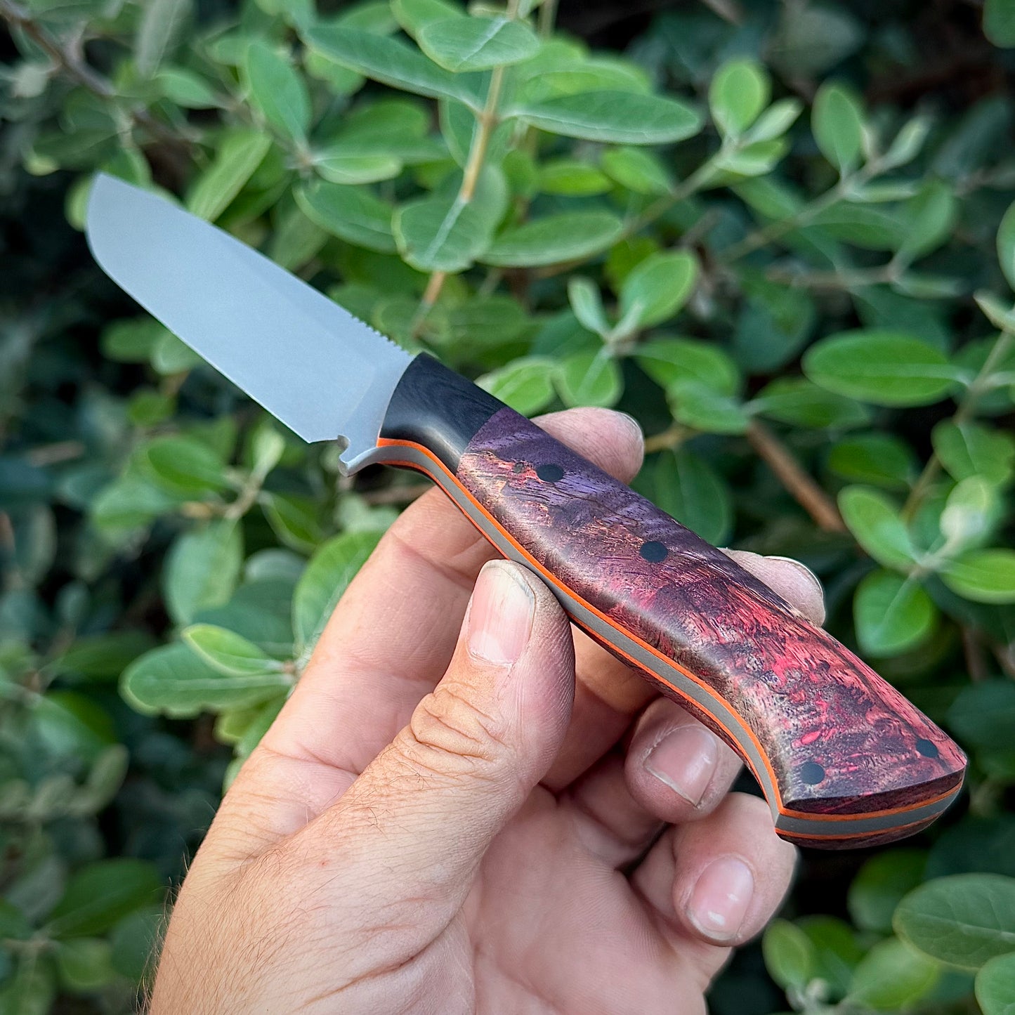 BA’Hunter