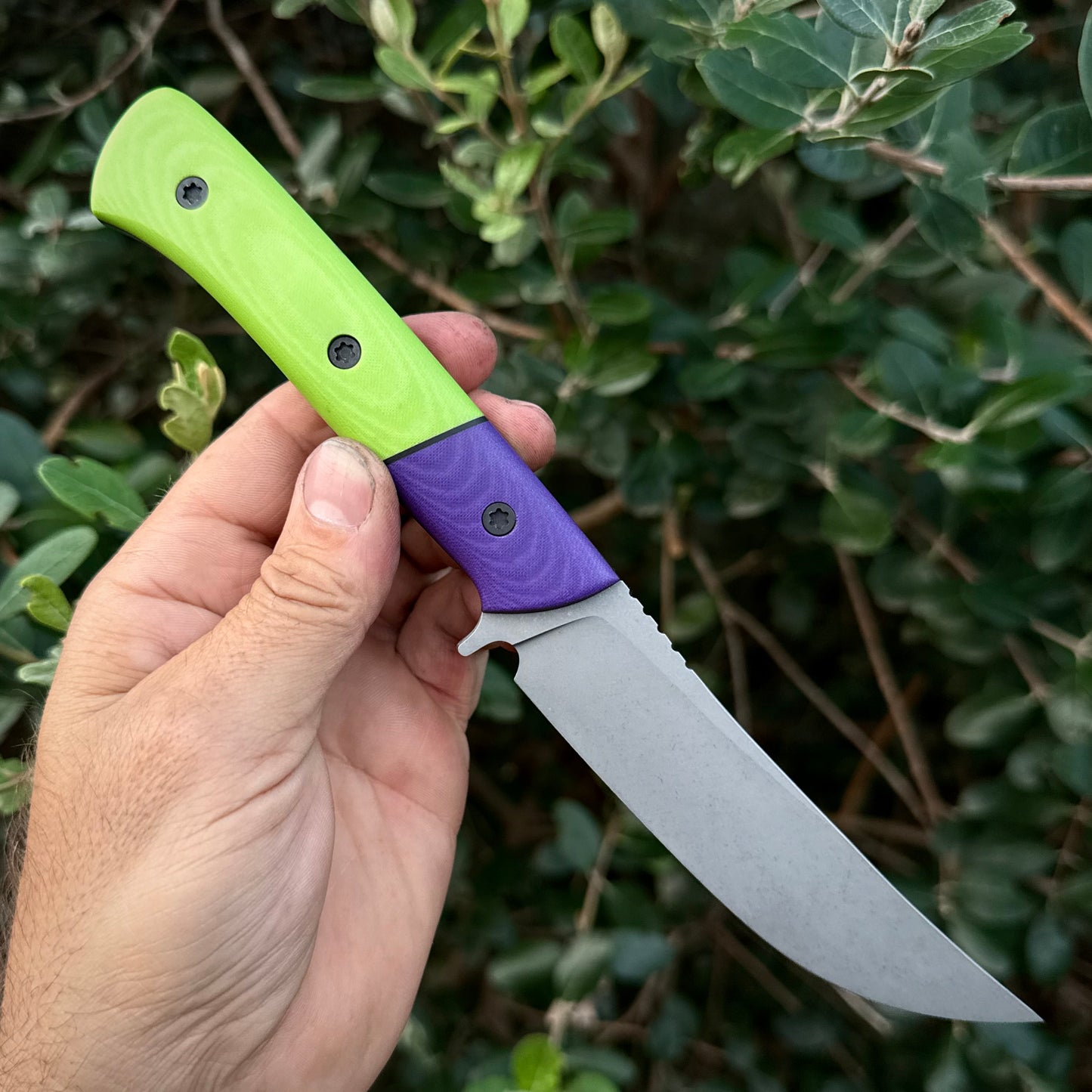 HOGGY- Micarta
