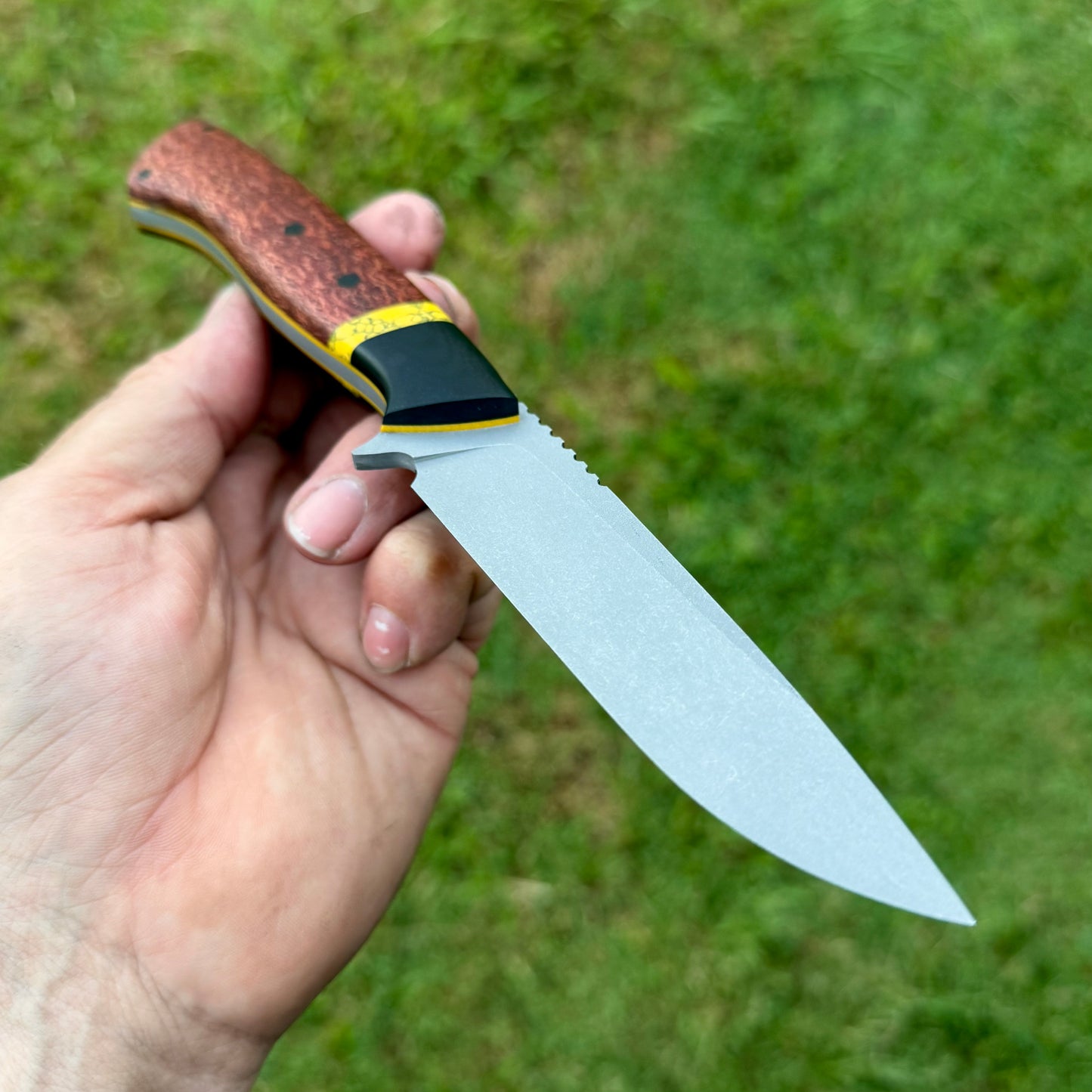 Rusa-cpm154
