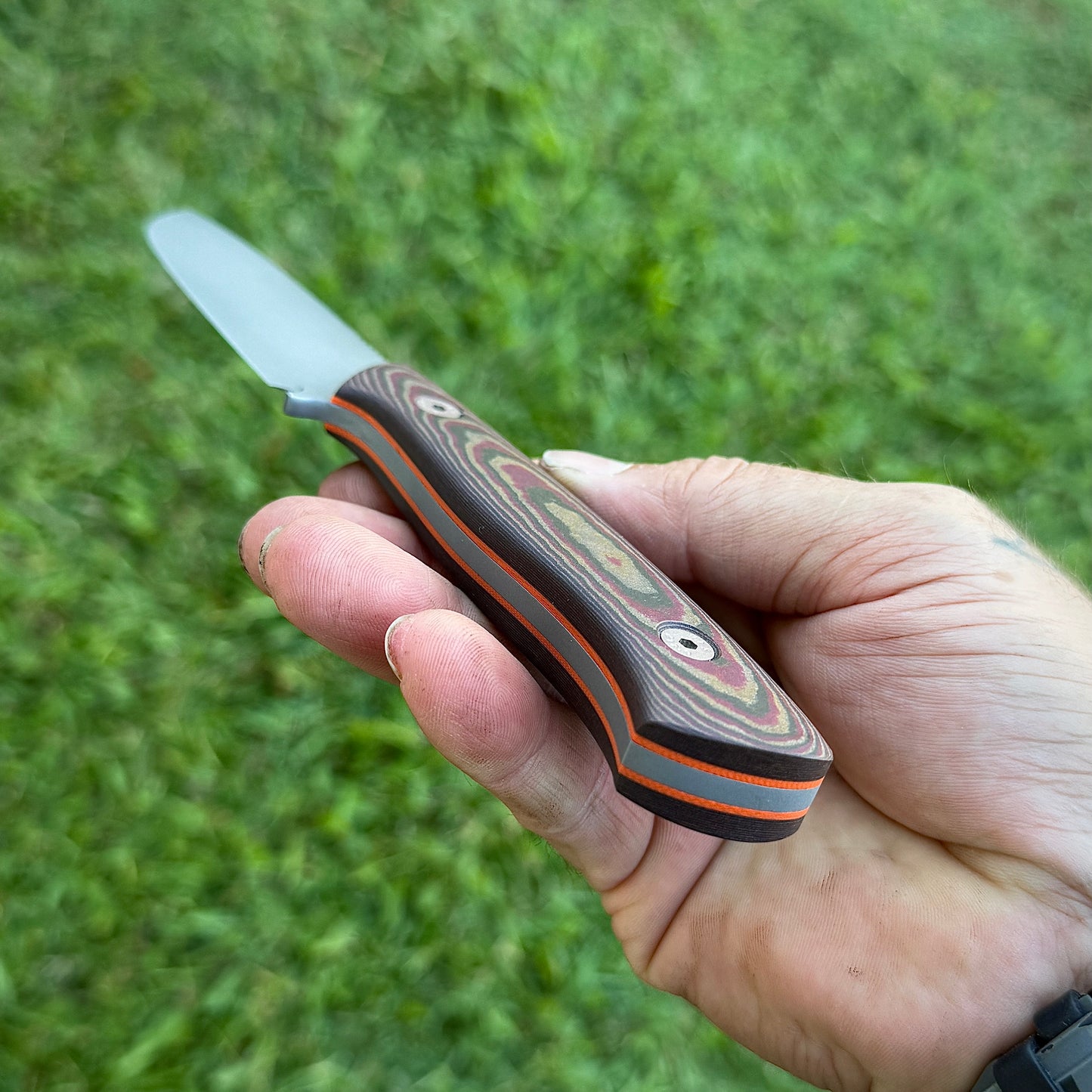 Otter- PM-X gold stainless