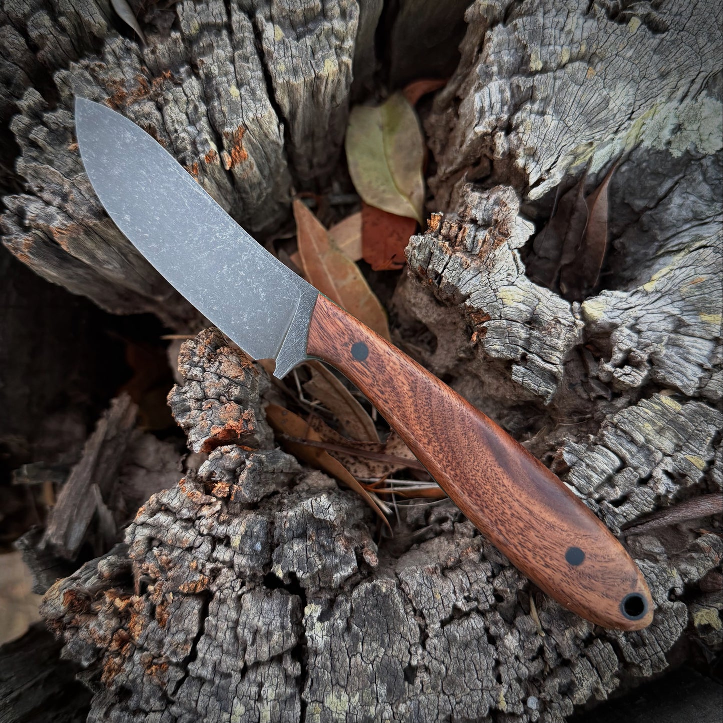 Stoat- walnut handle