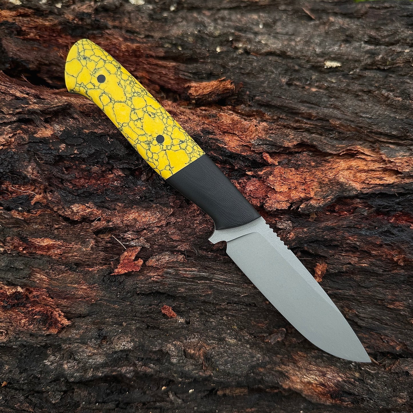 VORRA in PM-X Gold stainless