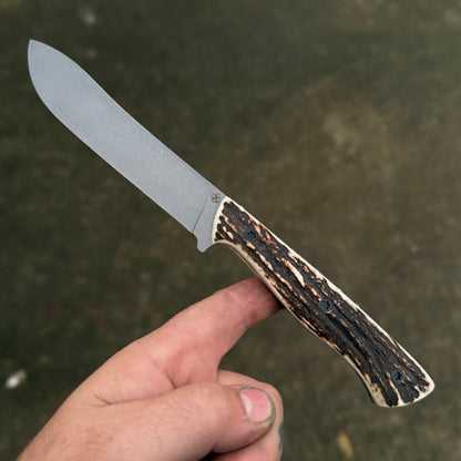 SCRUB BULL- ANTLER