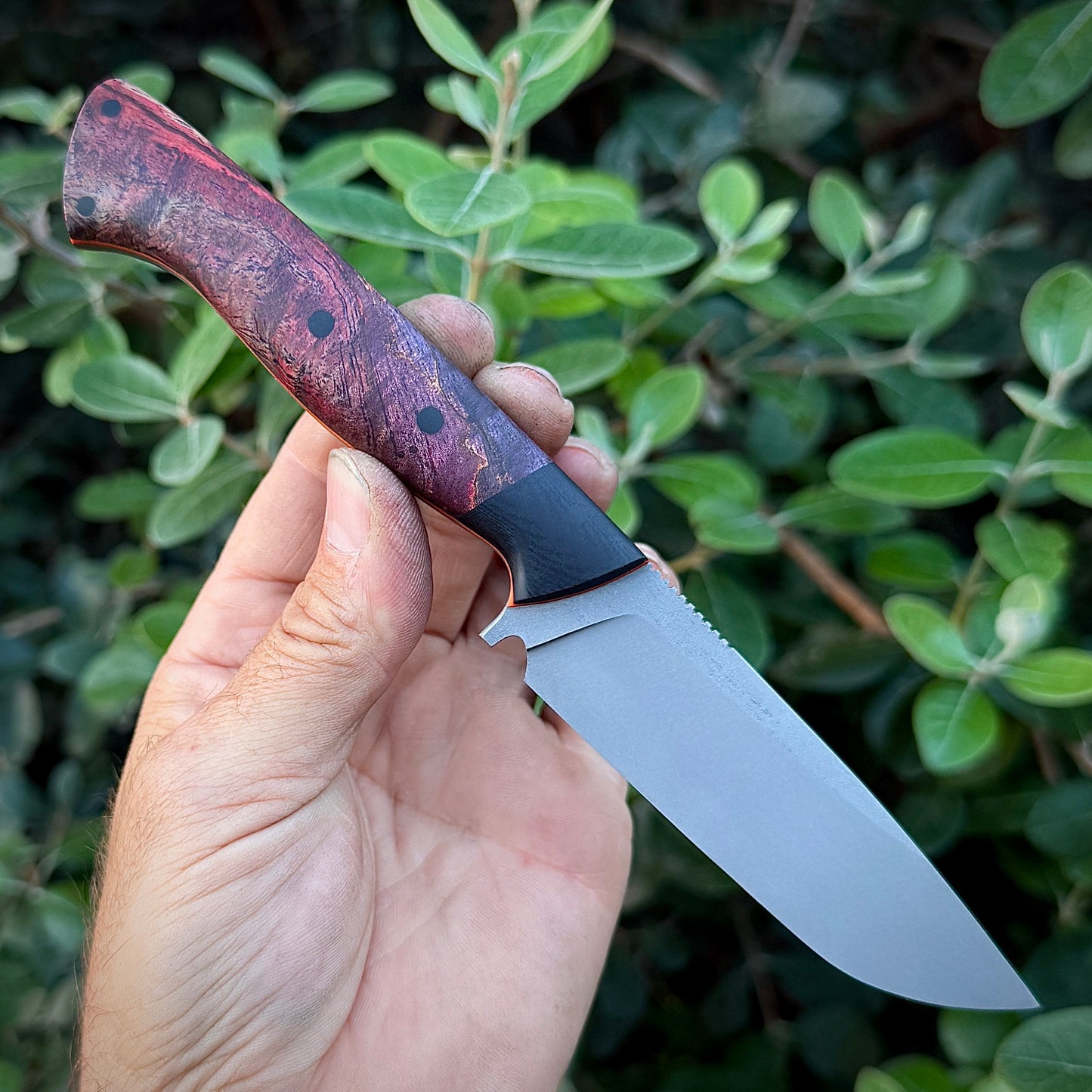 BA’Hunter