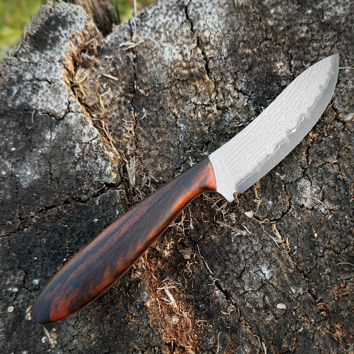 Stoat- stainless Damascus clad SLD ￼