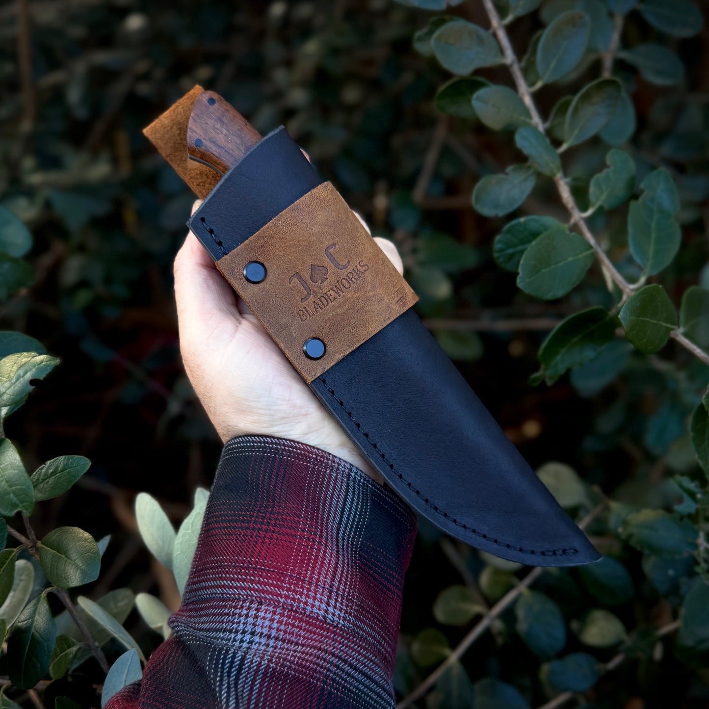 TRAILHEAD- Blackwood