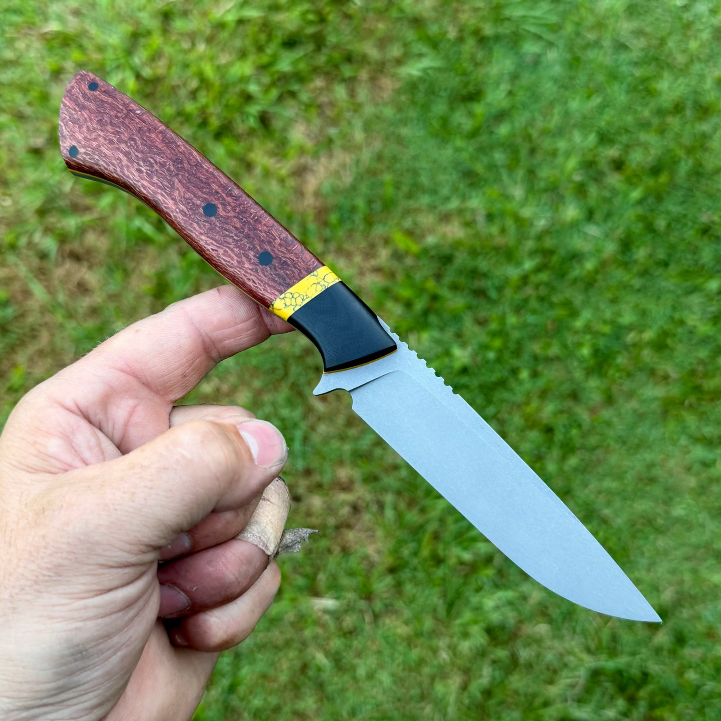 Rusa-cpm154