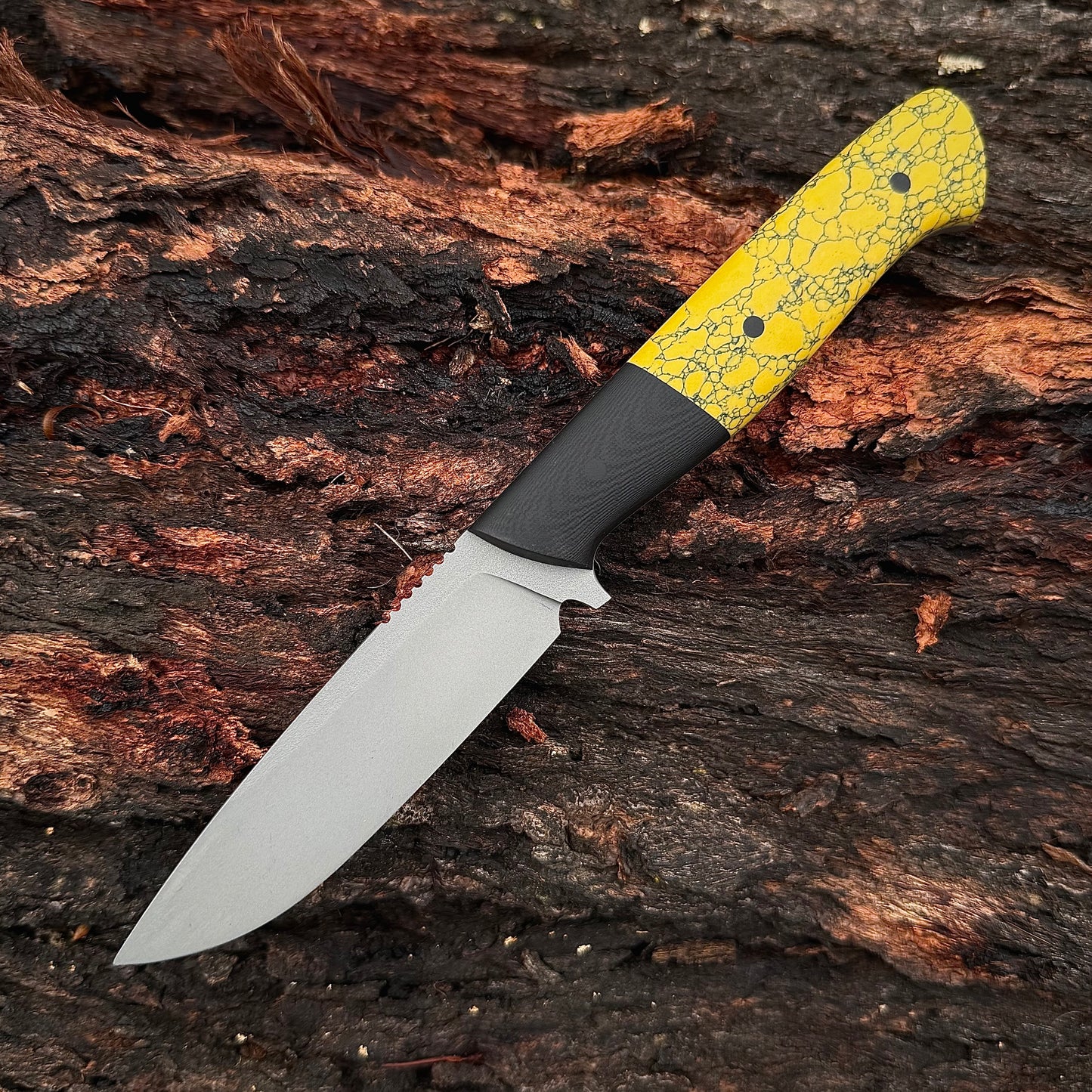 VORRA in PM-X Gold stainless