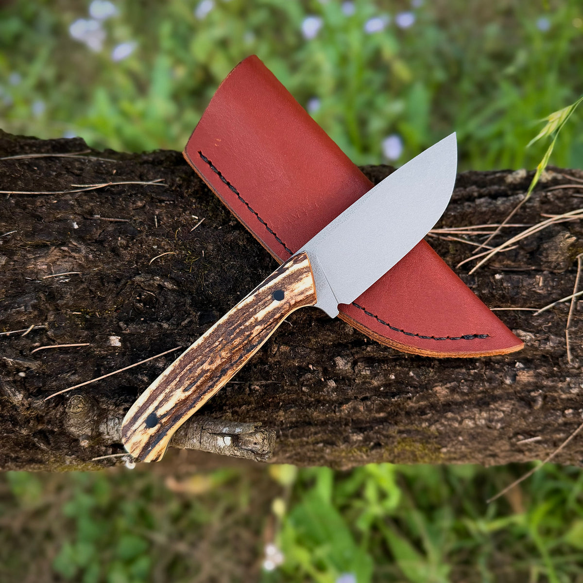 STUMPY-  CPM S35VN