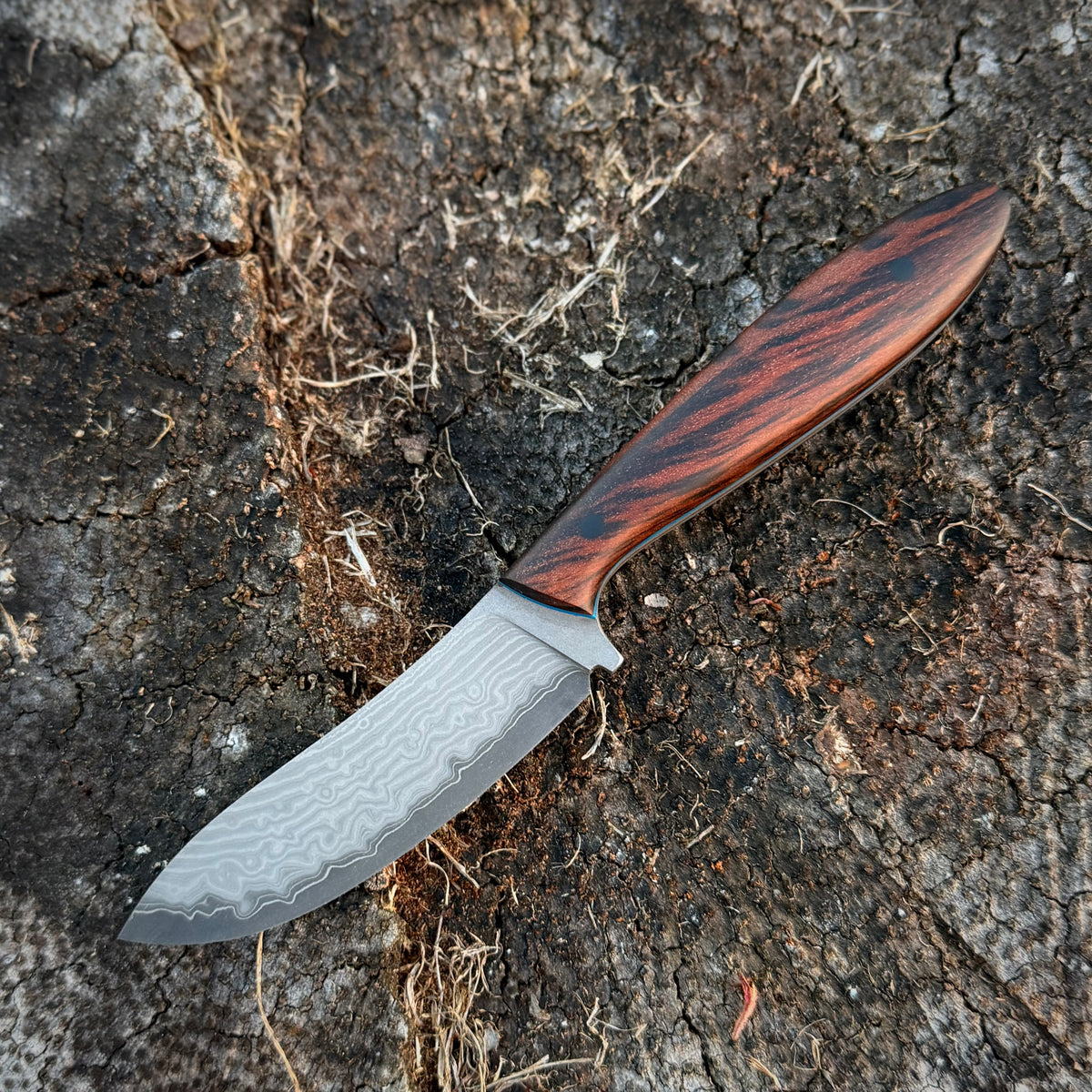 Stoat- stainless Damascus clad SLD ￼