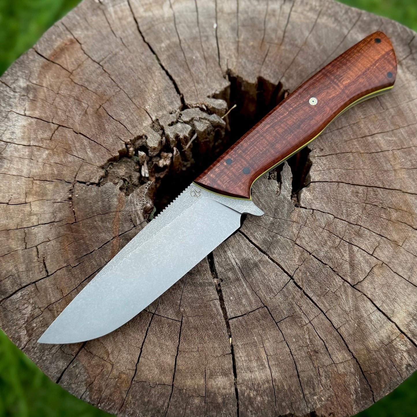 Ave Hunter - CPM S45VN - Ringed Gidgee Handle