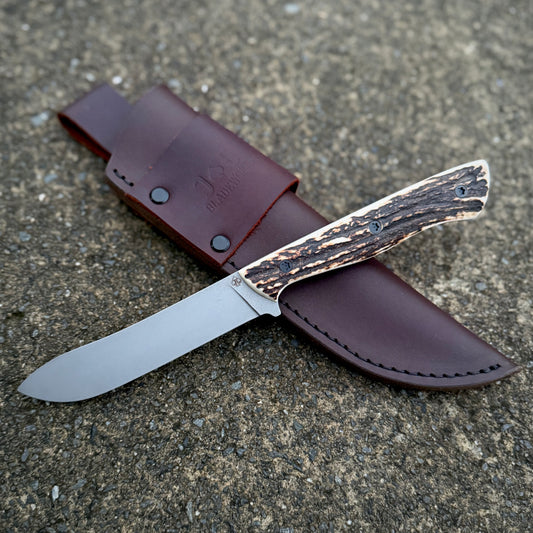 SCRUB BULL- ANTLER