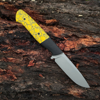 VORRA in PM-X Gold stainless