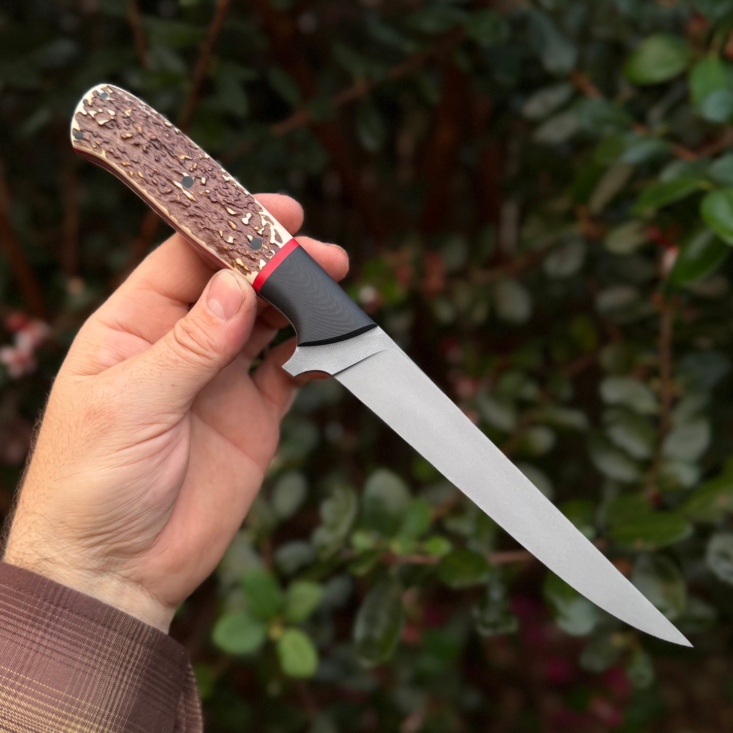 6"bone- N690stainless